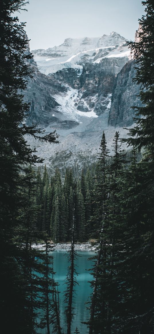 mountains, lake, branches, peak, snowy