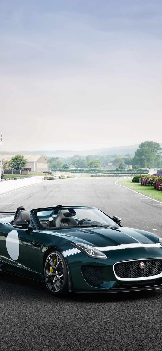 jaguar f-type project 7, jaguar f-type, jaguar, sports car