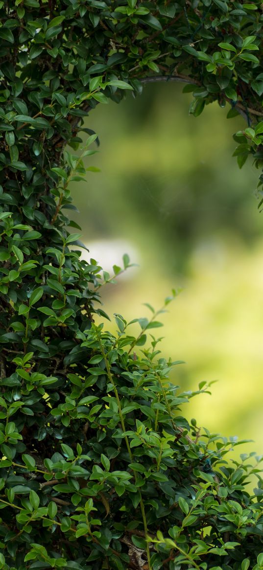 heart, branches, bush, plant, pair, blur