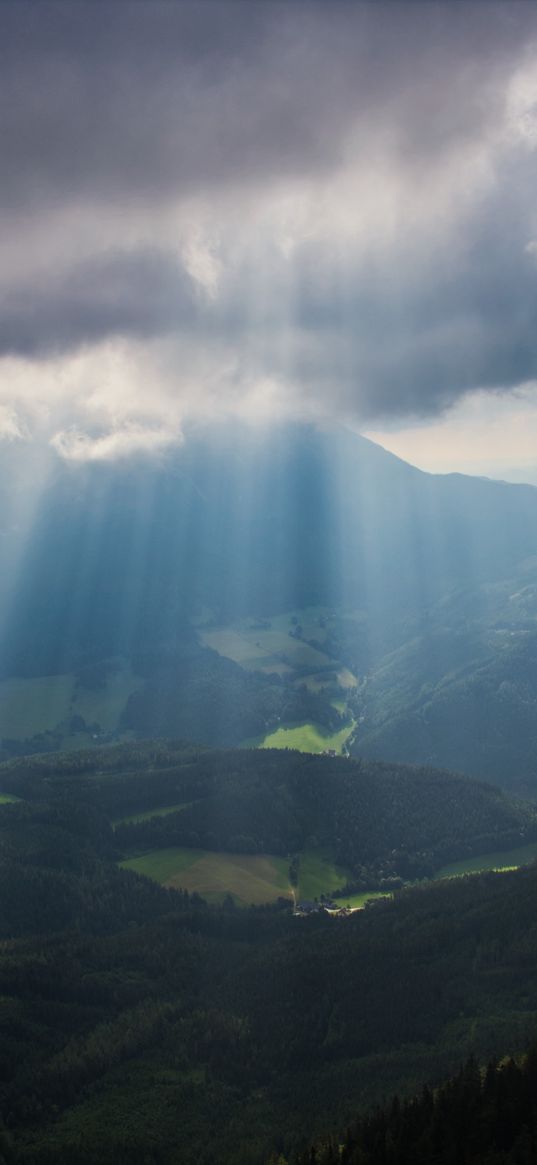 mountains, fog, valley, alps, trees