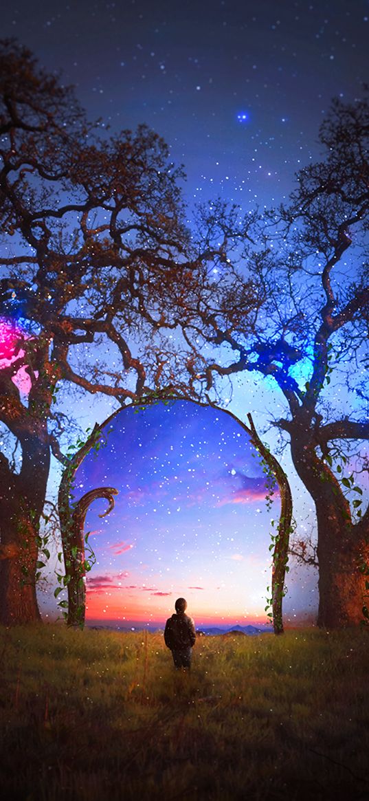 silhouette, arch, starry sky, photoshop, fabulous, fantastic