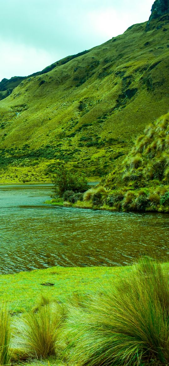 mountains, lake, lagoon, green, grass