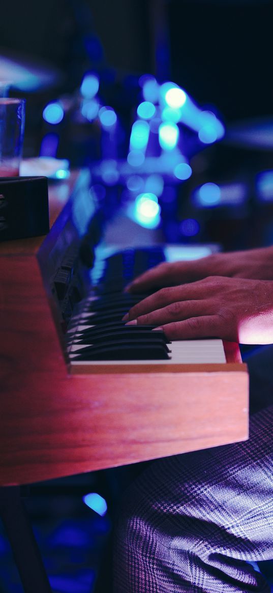 hands, keys, organ, musician