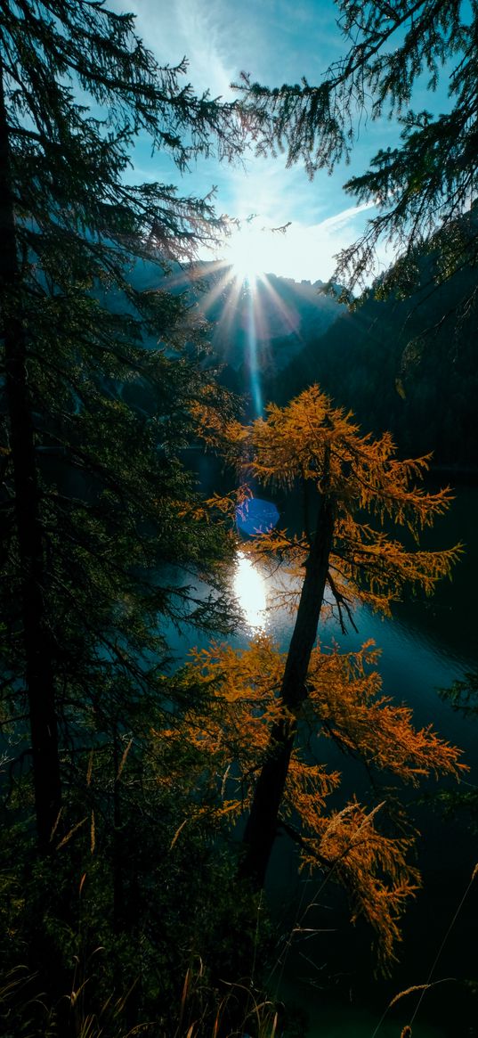 lake, branches, mountains, sunlight, rays