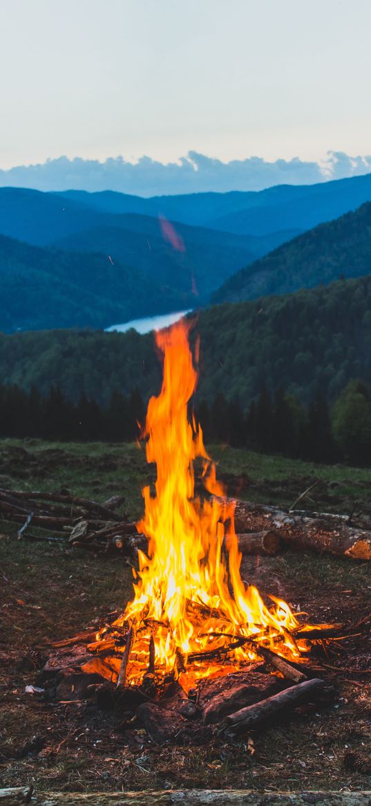 campfire, mountain, camping, firewood