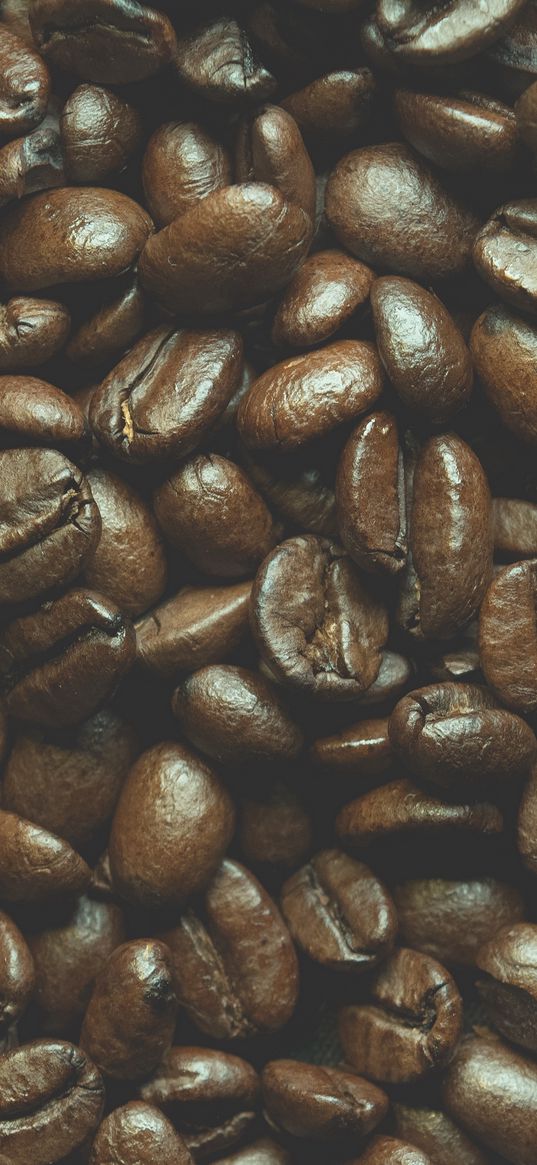 coffee beans, coffee, brown, macro