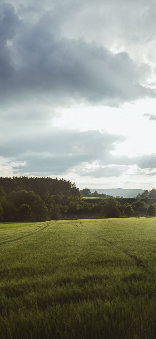 field, grass, horizon, clouds, trees, landscape, wolfsbach, bavaria, germany