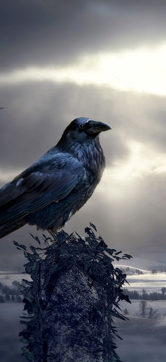 raven, bird, photoshop, mystical, sculptures