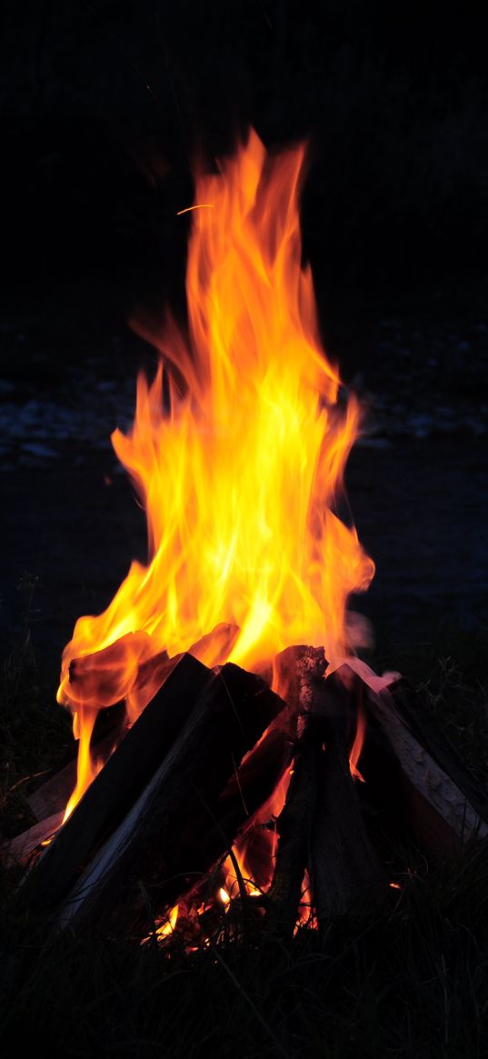 bonfire, fire, firewood, camping, night