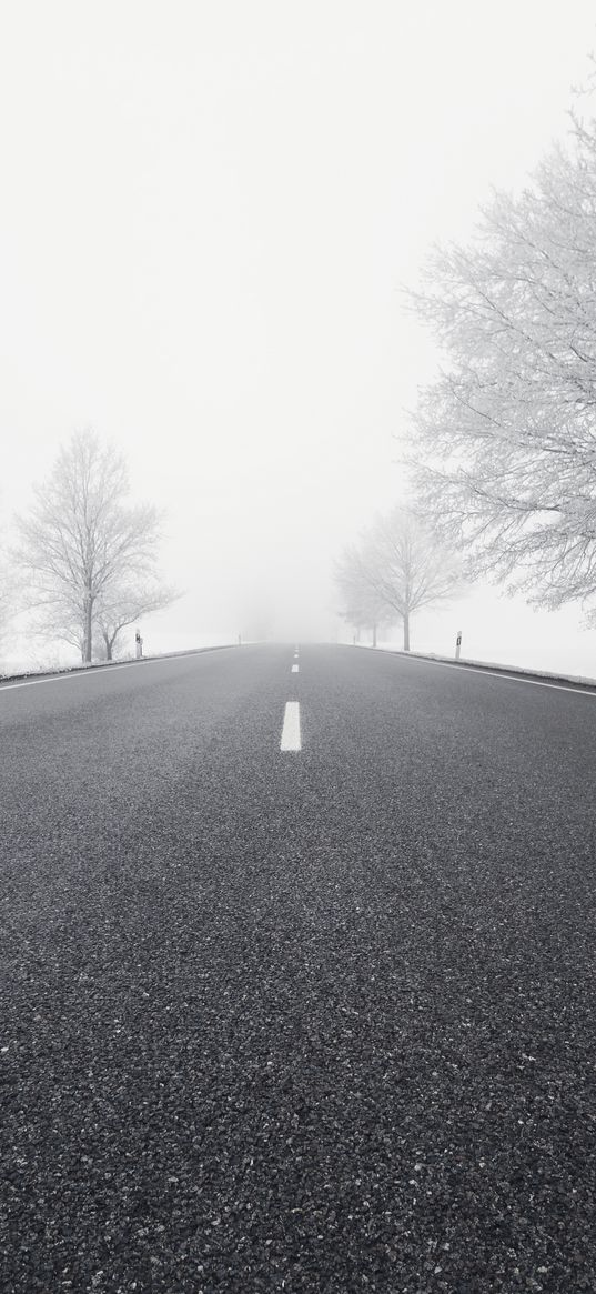 road, winter, bw, snow, fog, trees, direction