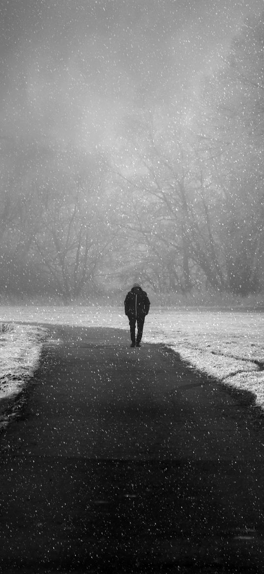 silhouette, lonely, snowfall, fog, winter, snow