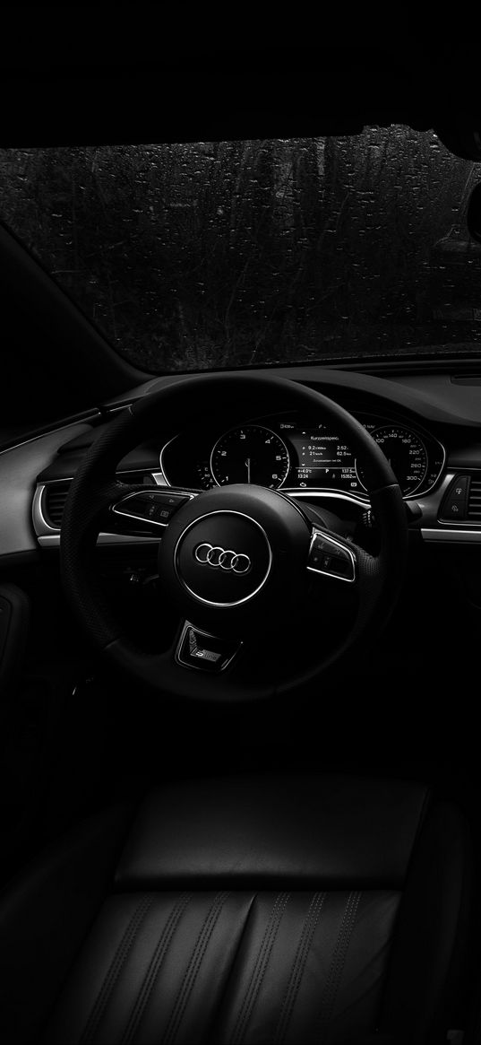 audi, steering wheel, car salon, rain, bw