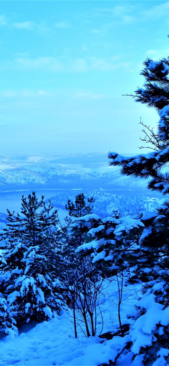 mountains, snow, trees, winter, aerial view