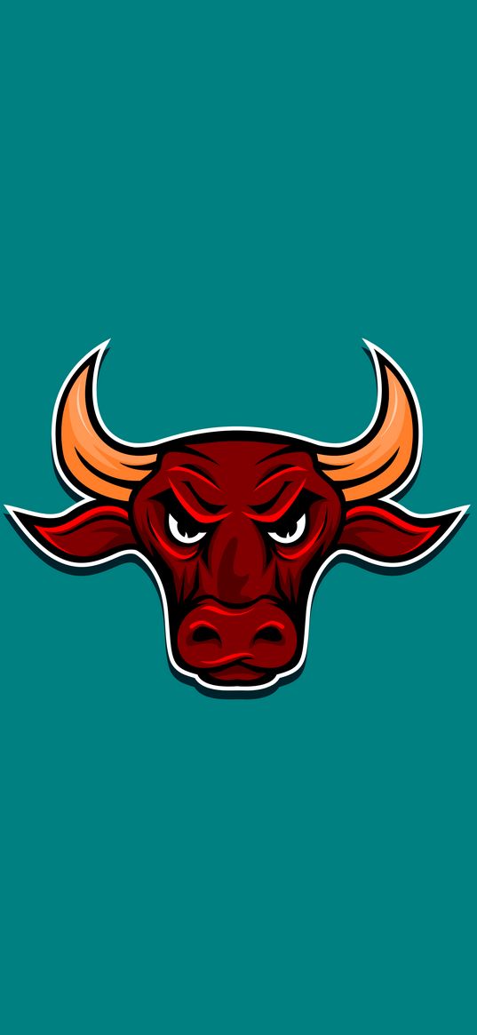 bull, angry, horns, vector