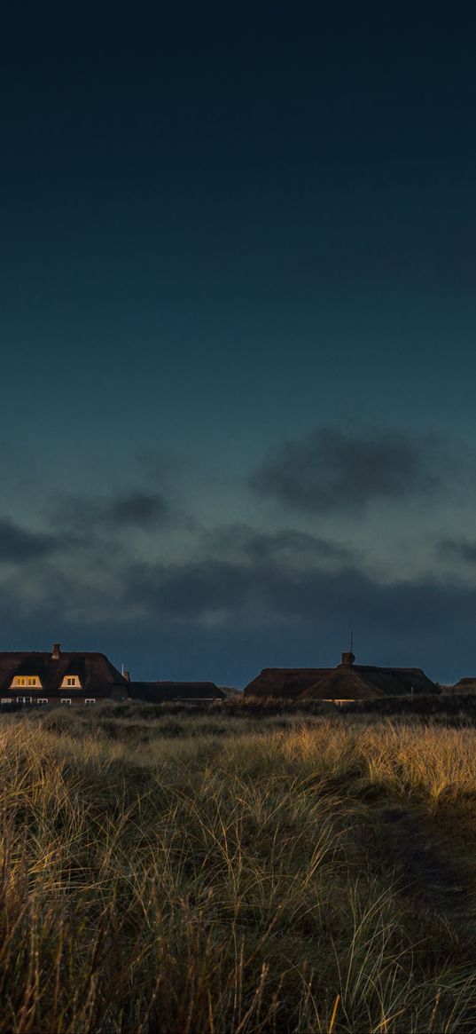 field, houses, path, grass, sunset, twilight, denmark