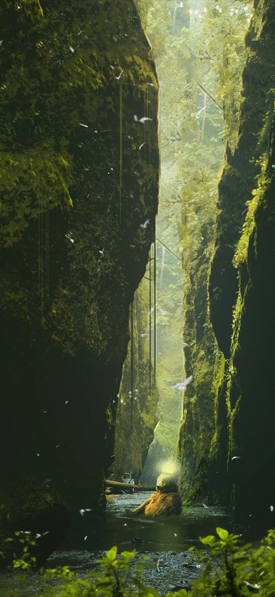 bear, rocks, photoshop, wildlife