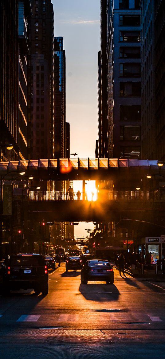 city, street, traffic, sunset, transportation