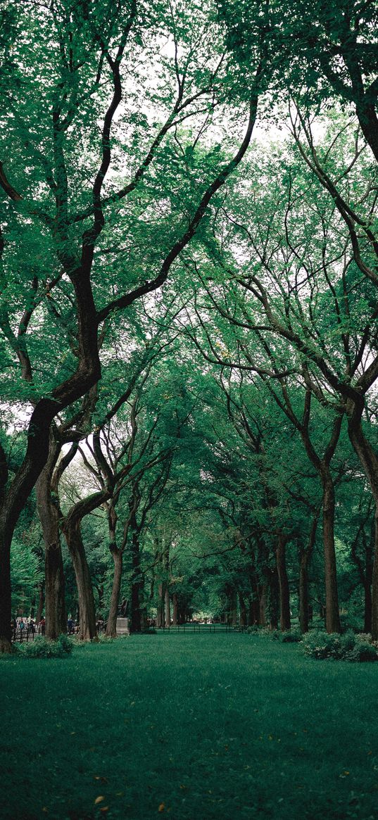 park, trees, grass, green, nature