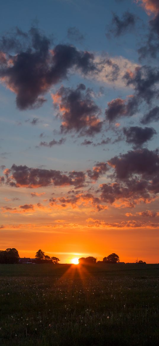 dawn, horizon, field, clouds, morning, grass, sky