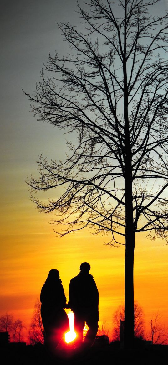 couple, silhouettes, sunset, walk, tree