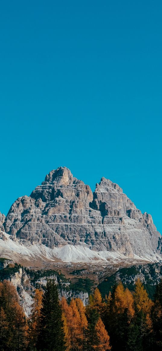 mountain, peak, trees, autumn, sky, mountain landscape