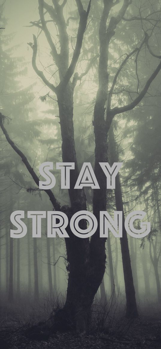 strong, inscription, fog, motivation, inspiration