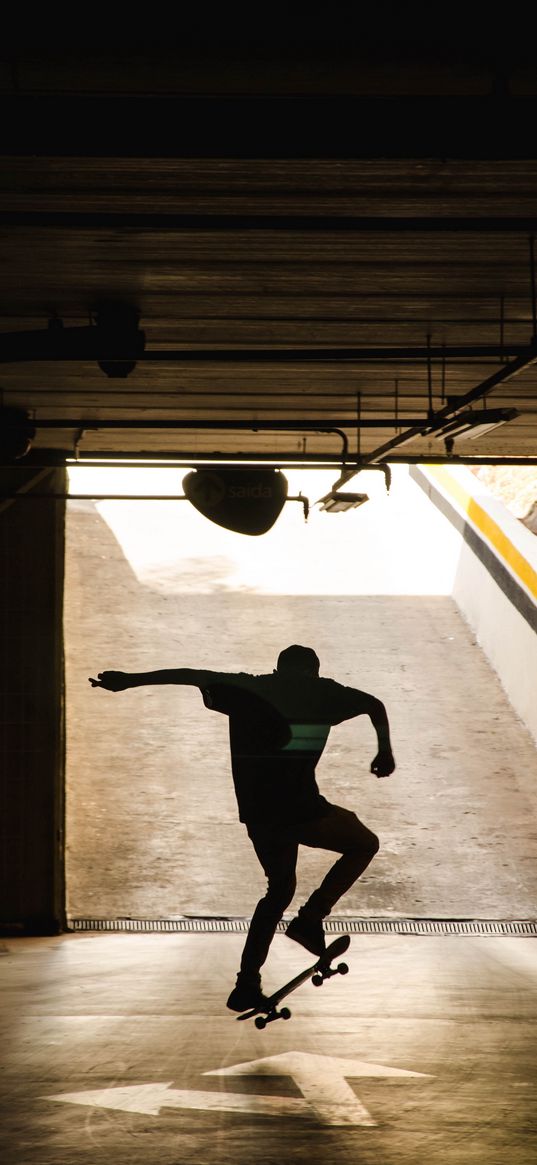 skateboard, skater, silhouette, trick