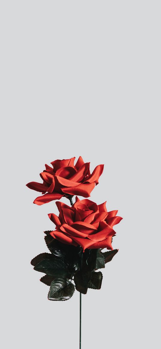 rose, flower, artificial, minimalism