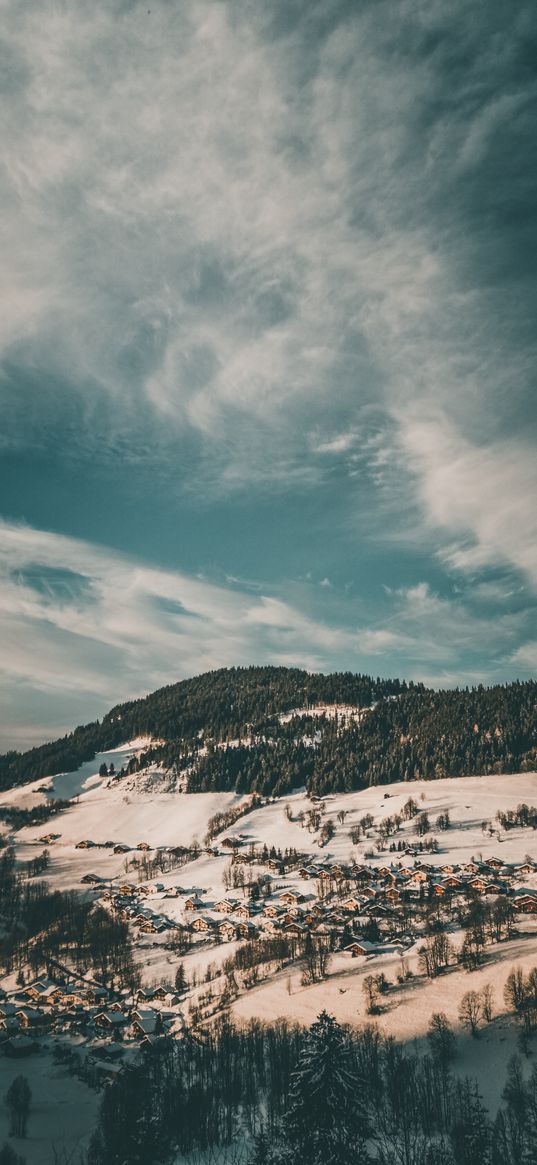 winter, forest, village, snow, aerial view, clouds