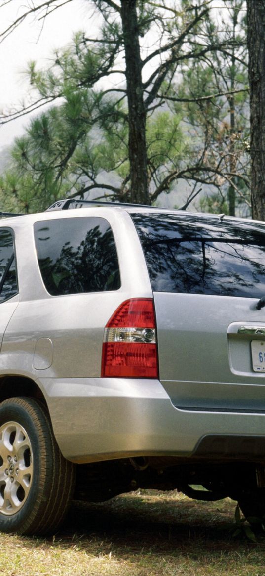 acura, mdx, silver metallic, jeep, rear view, forest, nature, cars