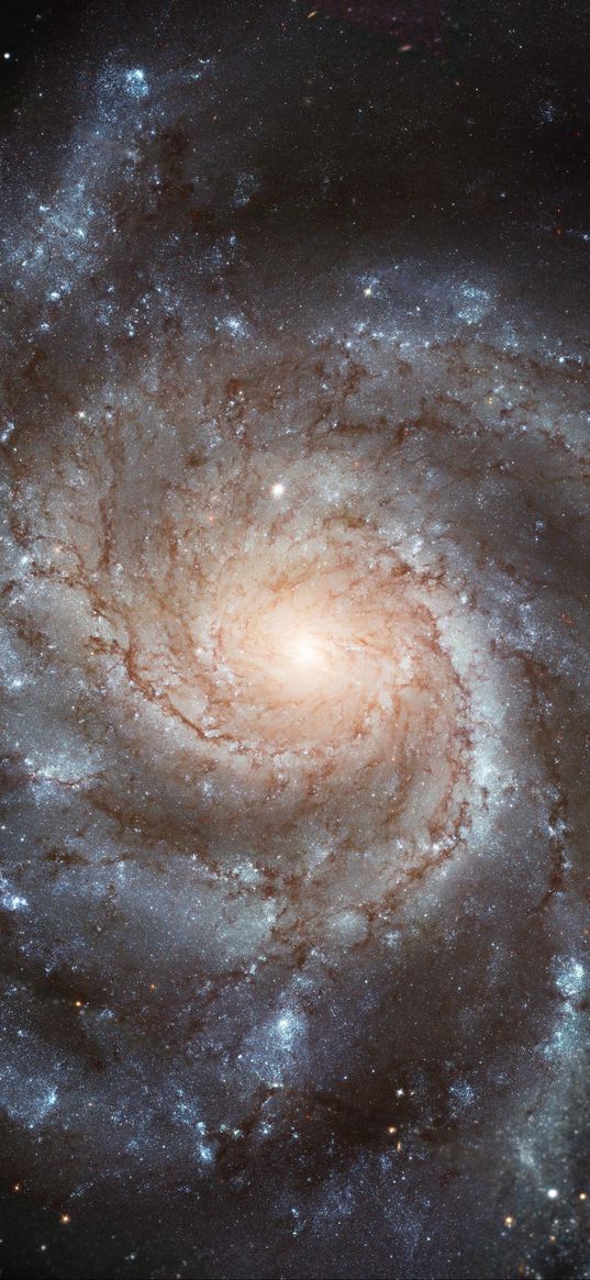 galaxy, pinwheel galaxy, spiral, messier, stars, space, astronomy, shine