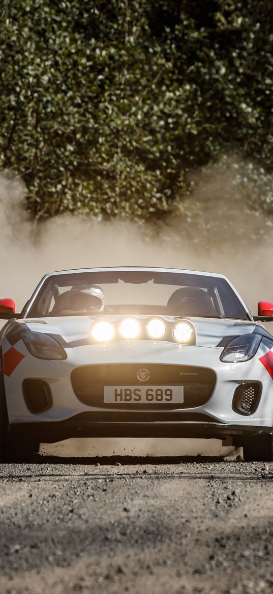 jaguar f-type, jaguar, sports car, race, dust