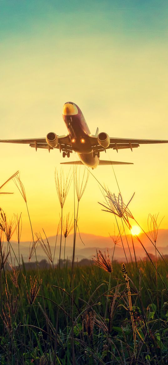 plane, grass, takeoff, sky, sunset, dawn