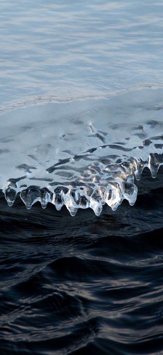 ice, water, waves, floe, ripples