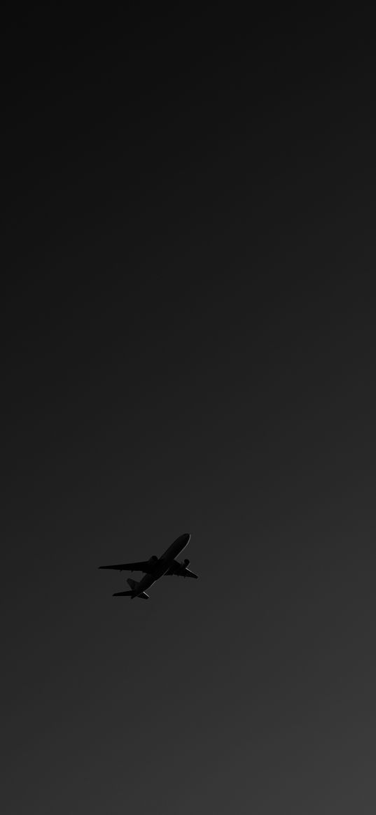 plane, bw, sky, flight, dark, minimalism