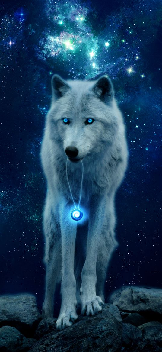 wolf, hill, glow, predator, wildlife, photoshop