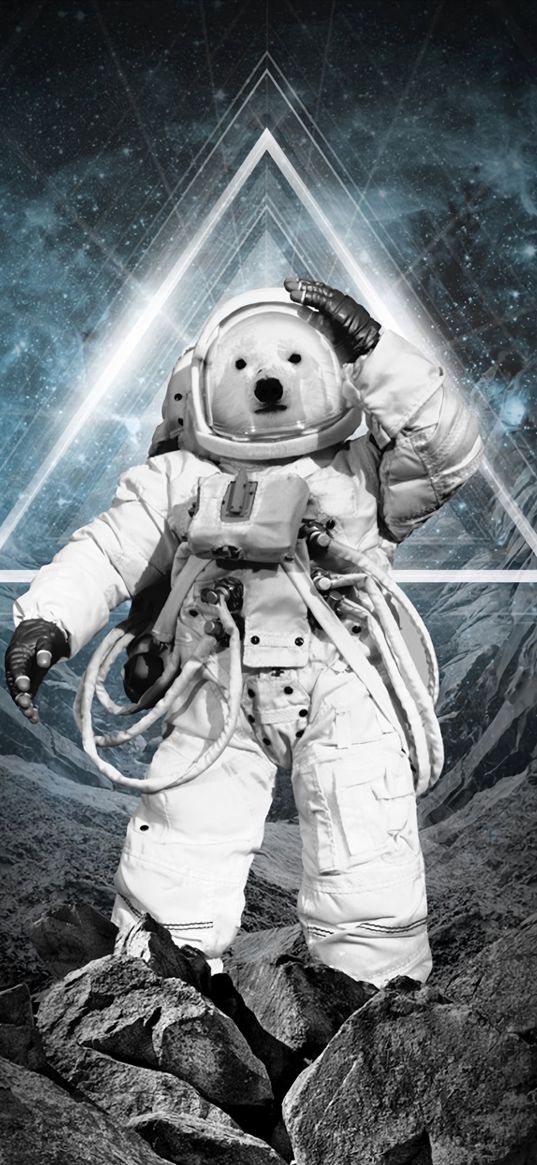 bear, astronaut, cosmonaut, art, space