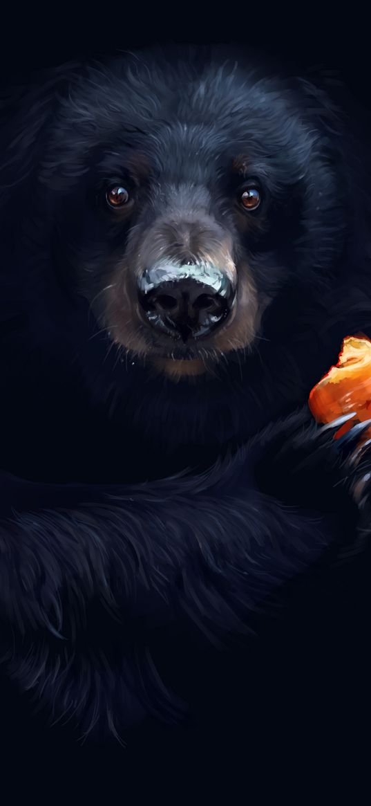 bear, food, carrot, art, claws, dark