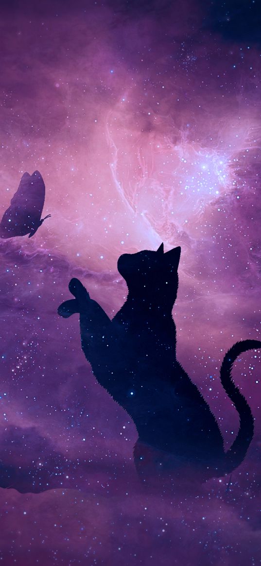 cat, silhouette, butterfly, starry sky, galaxy, stars, shine