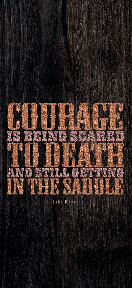 courage, quote, phrase, motivation, inspiration