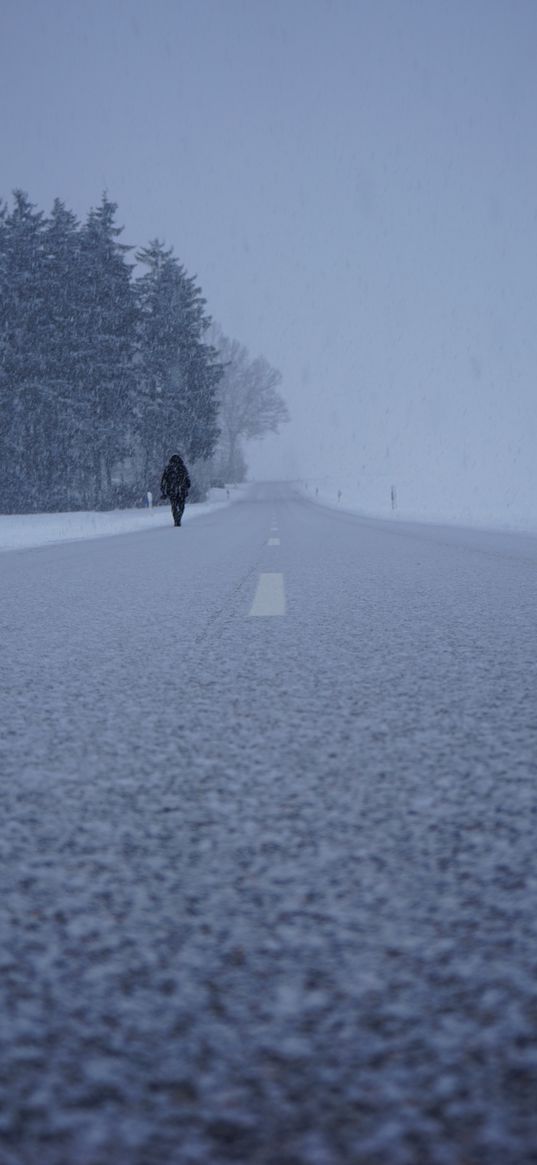 silhouette, winter, fog, snowstorm, snowfall, road