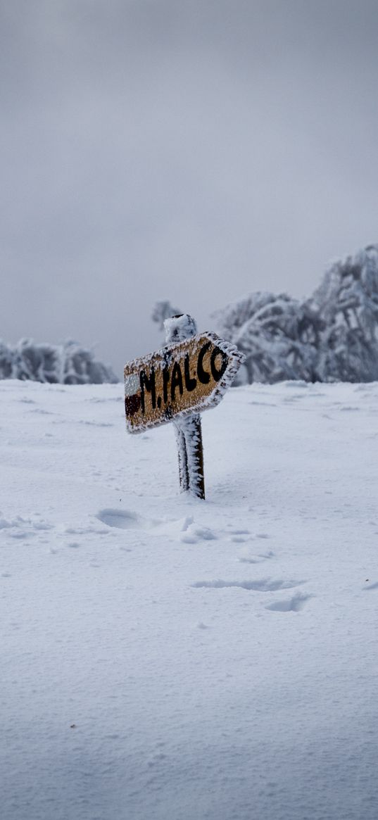 pointer, snow, drifts, winter