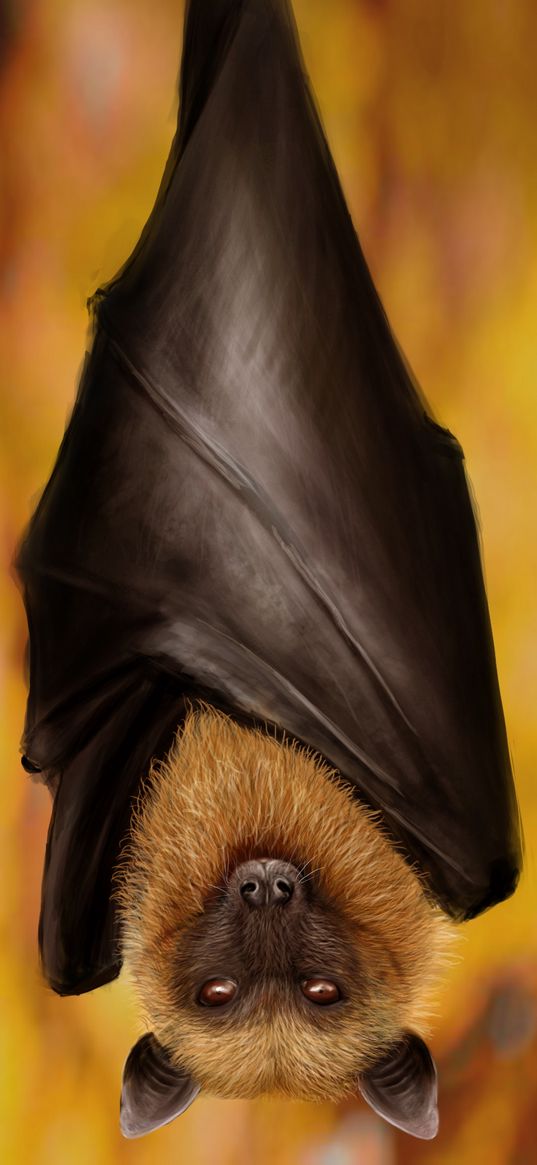 bat, hanging, upside down, wings, muzzle, art