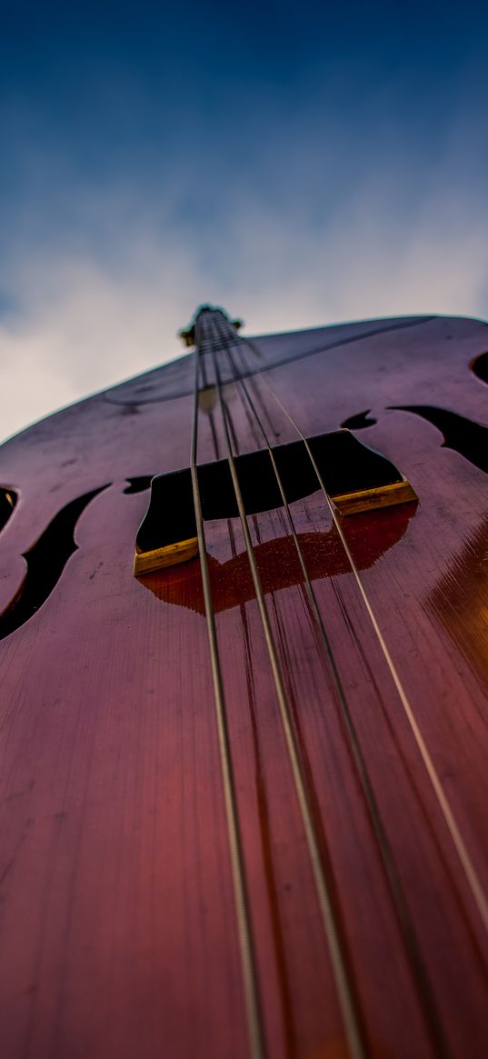 violin, strings, musical instrument, exhibit