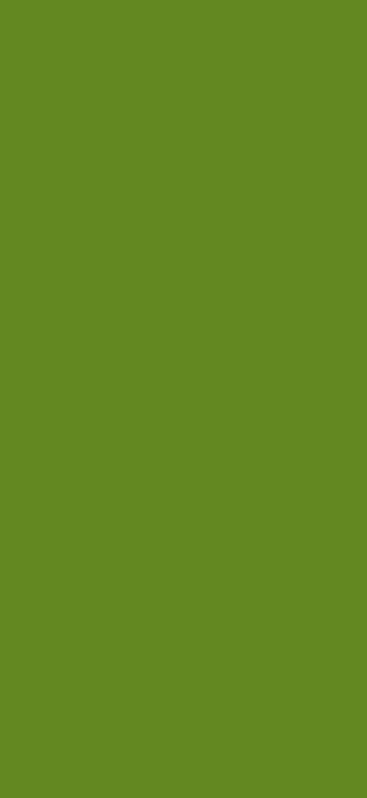 khaki, color, background, monophonic, minimalism