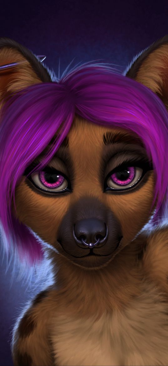 hyena, cute, funny, beast, purple hair, piercing