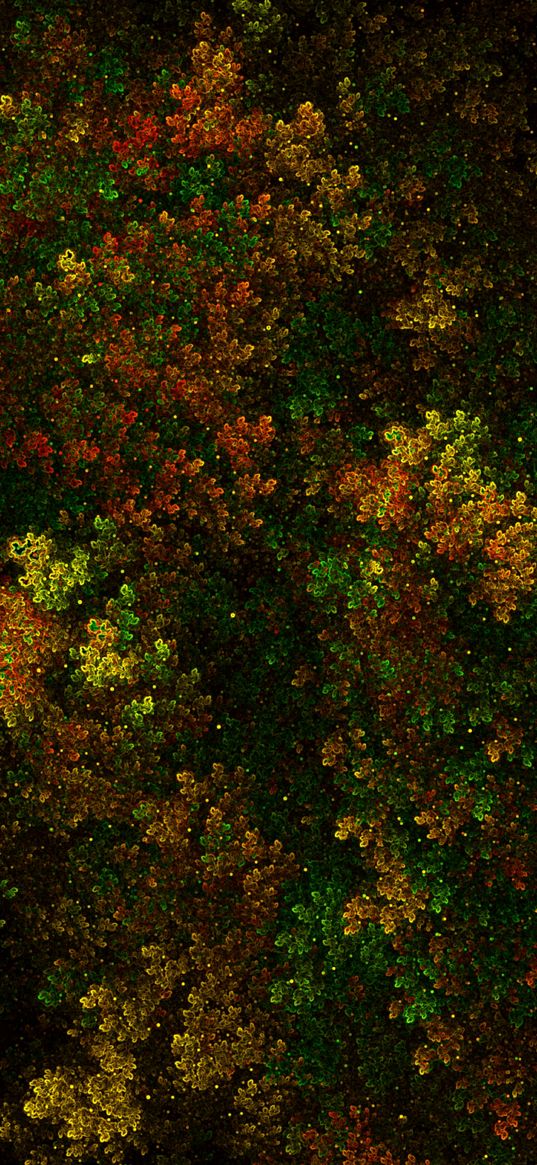 fractal, bushy, thick, green, yellow, red