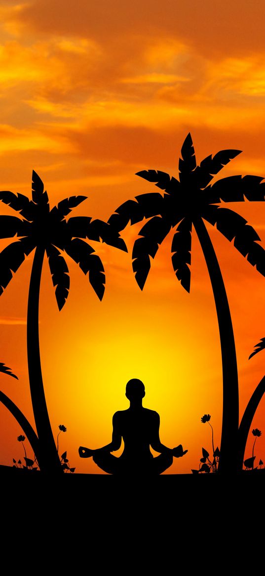 meditation, yoga, silhouette, palm trees, harmony