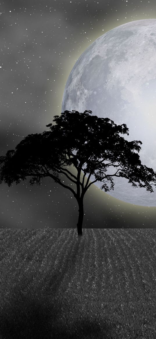 tree, field, moon, full moon, night, moonlight, shadow