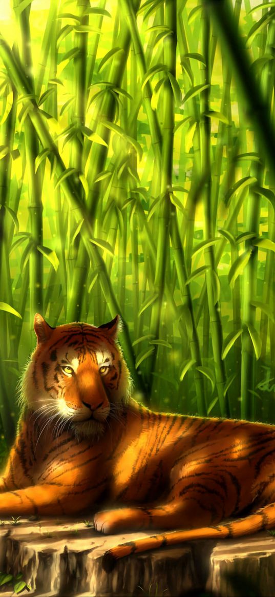 tiger, jungle, bamboo, lies, looks, predator